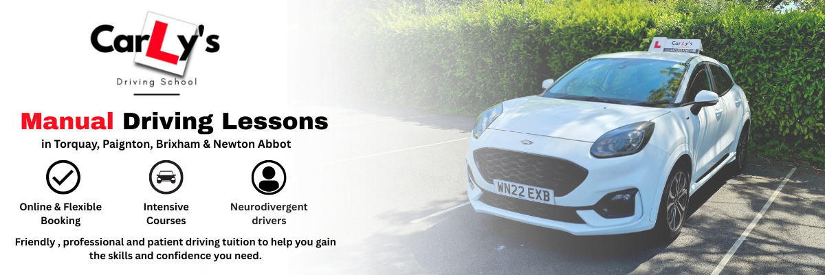 Are you ready to learn to drive?